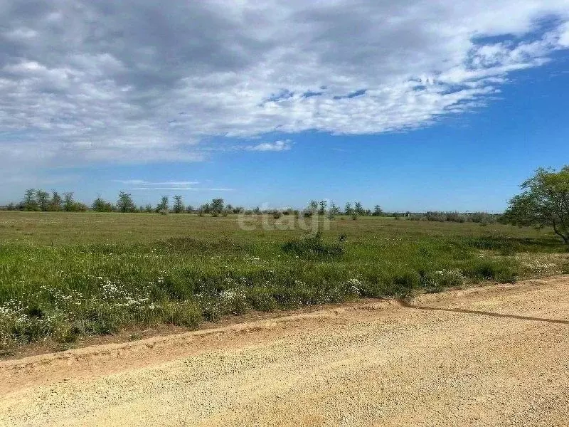 Участок в Крым, Сакский район, с. Охотниково ул. Интернациональная ... - Фото 1