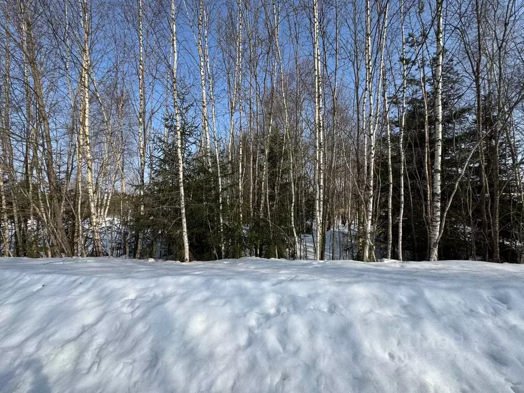 Участок в Московская область, Волоколамский муниципальный округ, д. ... - Фото 2