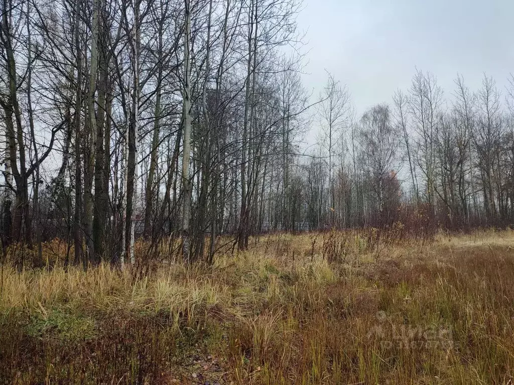 Участок в Московская область, Ликино-Дулево Орехово-Зуевский городской ... - Фото 1