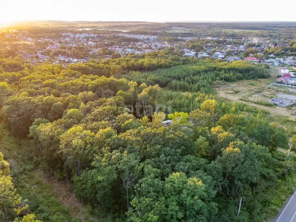 Участок в Хабаровский край, Хабаровский район, с. Некрасовка, Дубовая ... - Фото 1