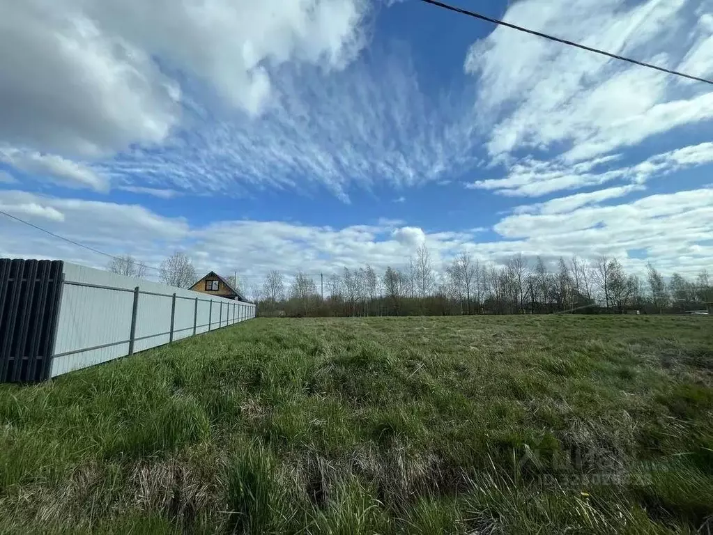 Участок в Новгородская область, Новгородский район, Ракомское с/пос, ... - Фото 1