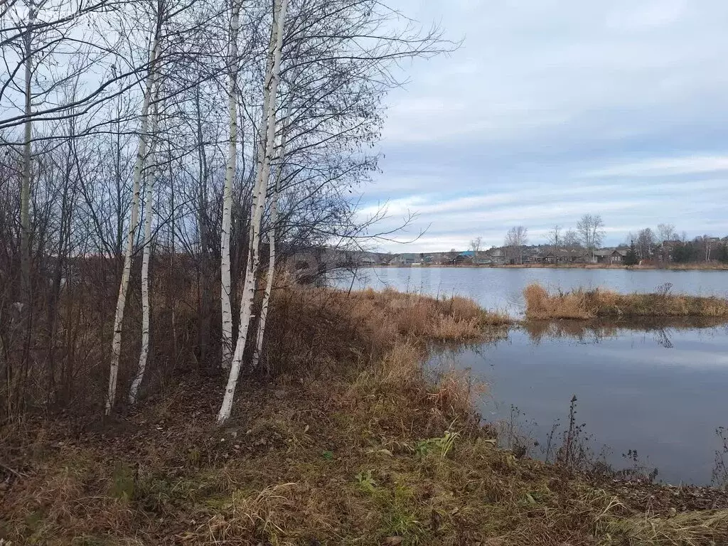 Участок в Свердловская область, Горноуральский муниципальный округ, ... - Фото 1