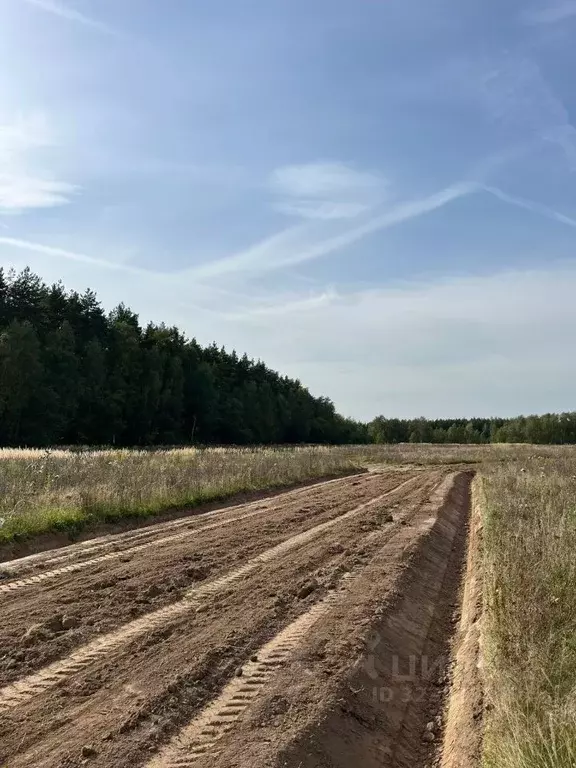 Участок в Московская область, Раменский муниципальный округ, Опушкино ... - Фото 1