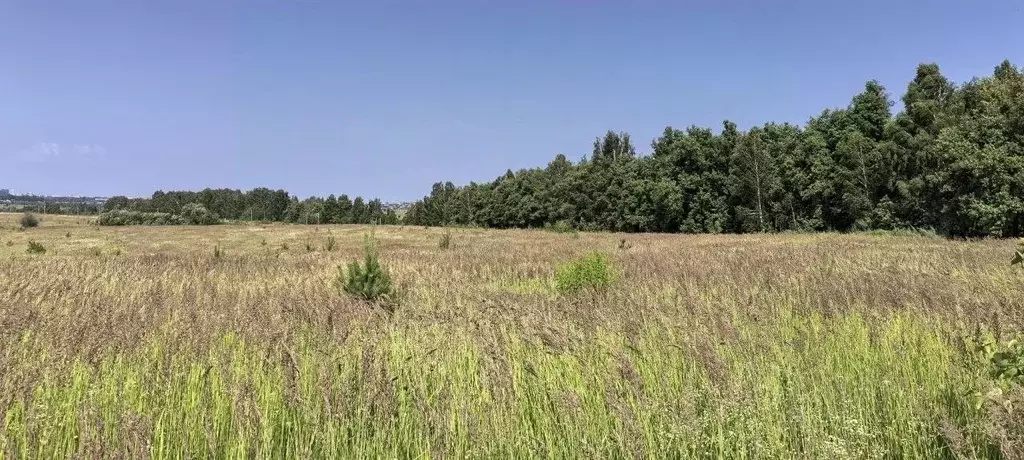 Участок в Татарстан, Пестречинский район, Богородское с/пос, д. Куюки  ... - Фото 1