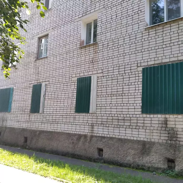 Помещение свободного назначения в Амурская область, Зея Солнечный мкр, ... - Фото 1