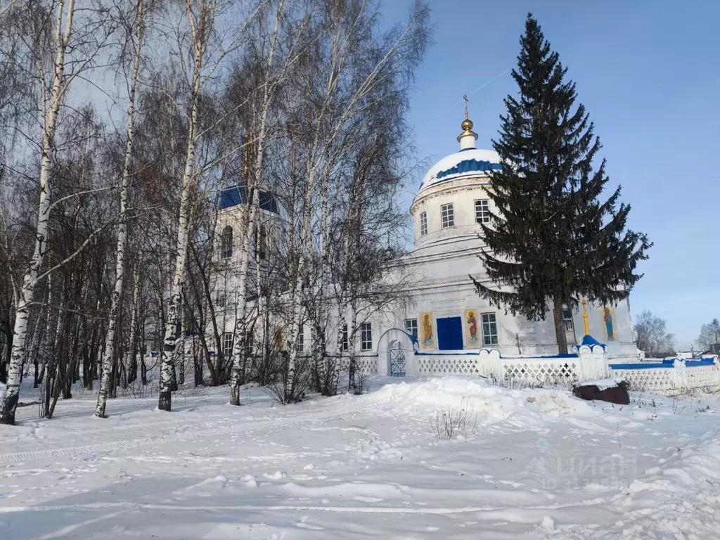 Дом в Нижегородская область, Арзамас городской округ, с. Селема ул. ... - Фото 0