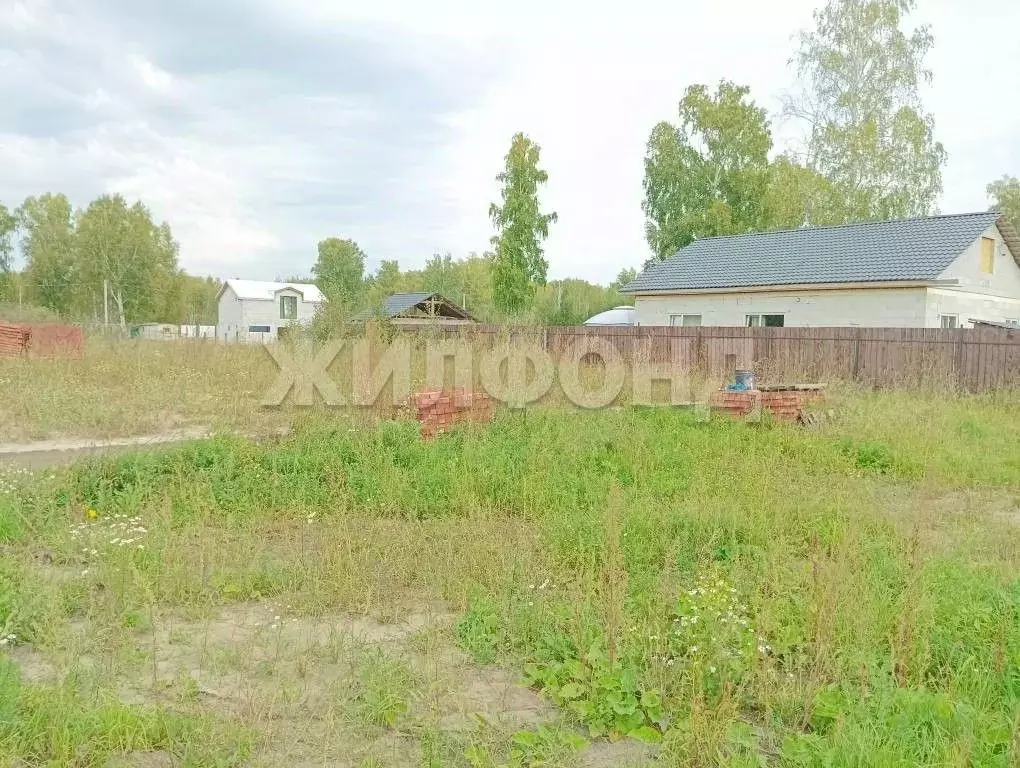 Участок в Новосибирская область, Новосибирский район, Станционный ... - Фото 0