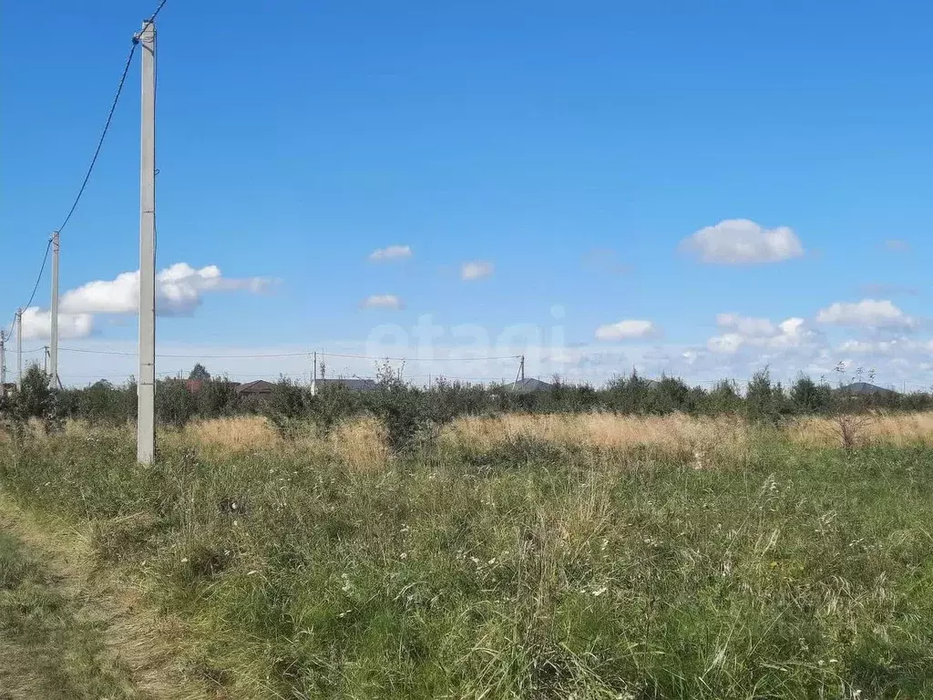 Участок в Калининградская область, Гурьевский муниципальный округ, ... - Фото 2