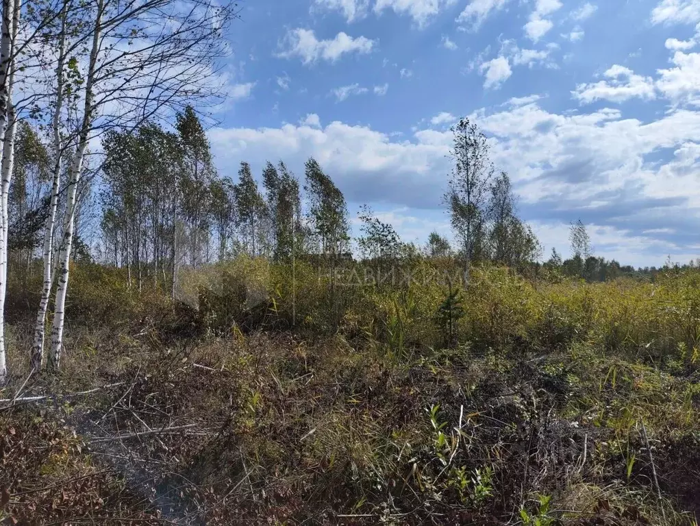 Участок в Тюменская область, Нижнетавдинский муниципальный округ, ... - Фото 1