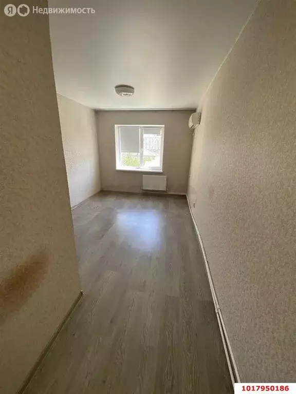 Квартира-студия: посёлок Российский, улица Шевкунова, 5 (18.8 м) - Фото 1