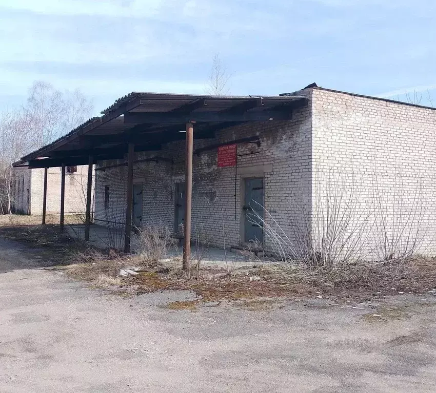 Помещение свободного назначения в Московская область, Ногинск ... - Фото 1
