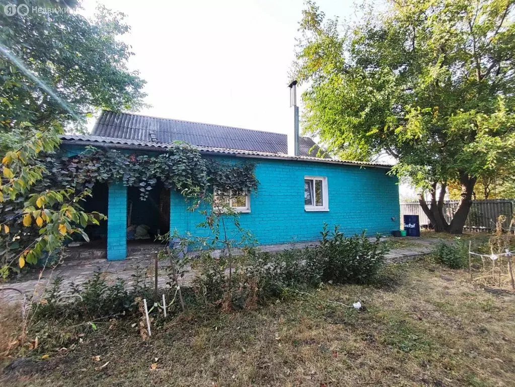 Дом в село Лопатки, Центральная улица, 25 (76 м) - Фото 1