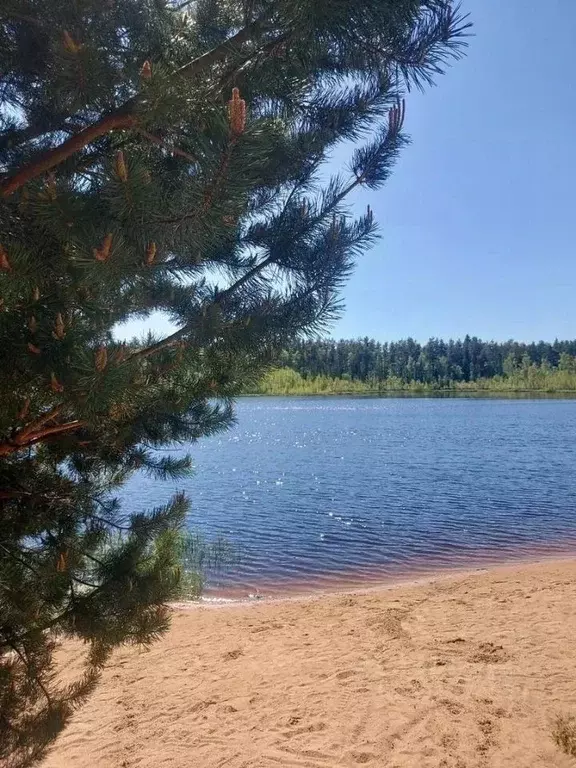 Участок в Ленинградская область, Приозерский район, Сосновское с/пос, ... - Фото 1