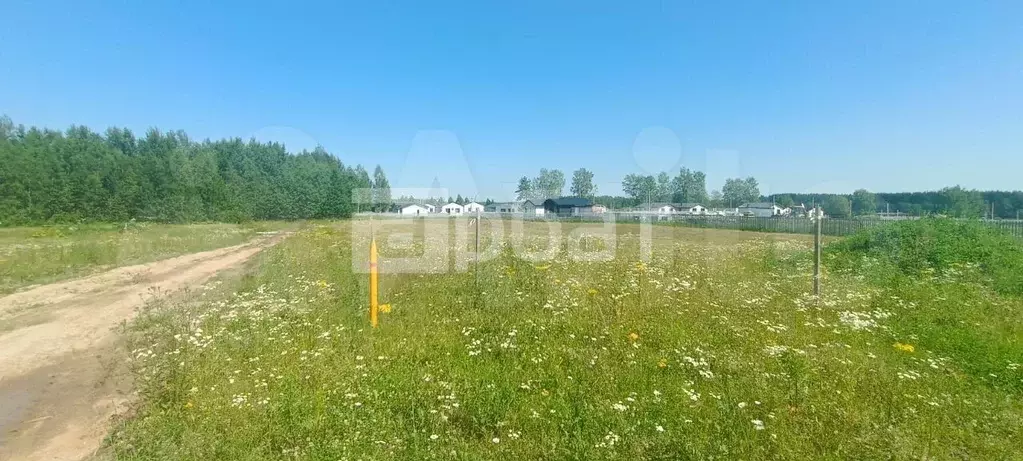 Участок 8 сот. (ИЖС) - Фото 1