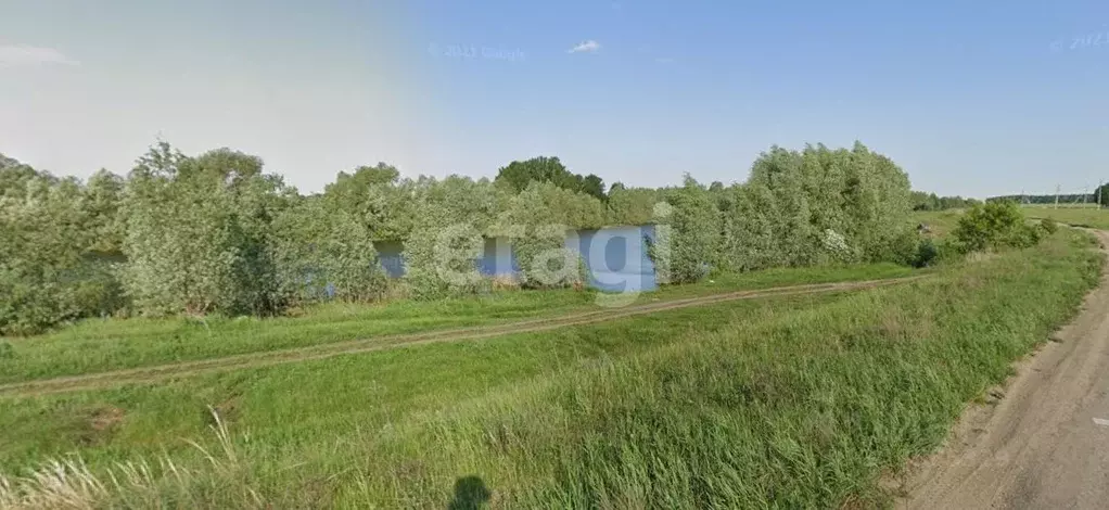 Участок в Новосибирская область, Новосибирский район, Морской ... - Фото 2