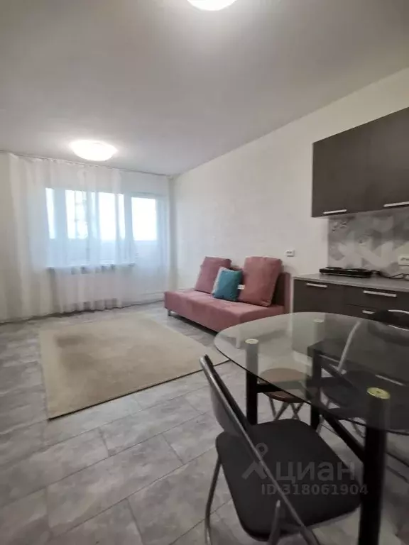 Студия Санкт-Петербург пос. Парголово, Заречная ул., 13к1 (26.6 м) - Фото 1