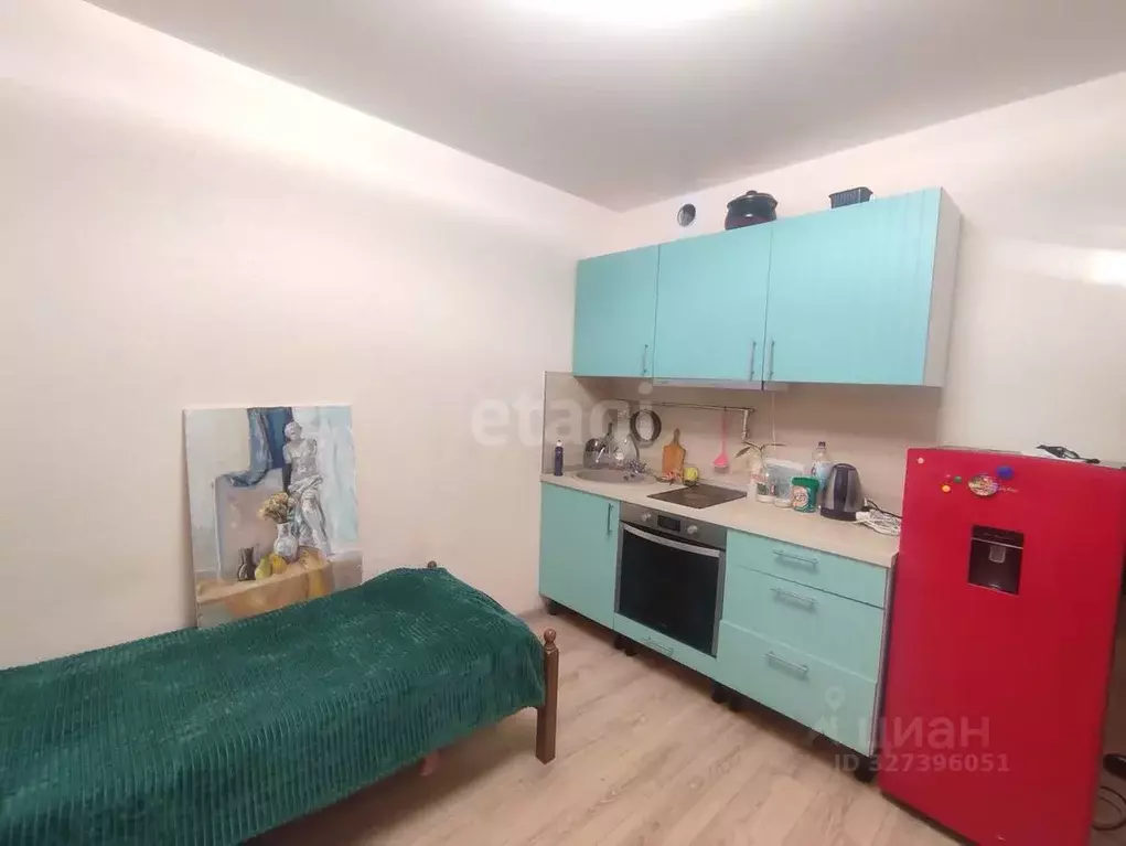 Студия Воронежская область, Новоусманский район, пос. Отрадное ул. ... - Фото 1