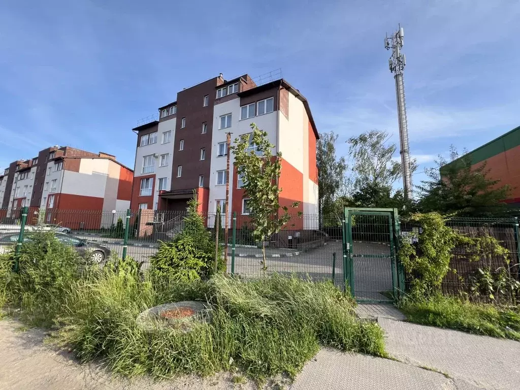 Помещение свободного назначения в Калининградская область, Калининград ... - Фото 0