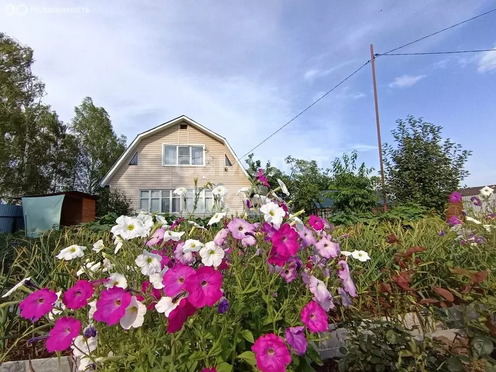 Дом в Богородский городской округ, СНТ Ромашка-2 (59 м) - Фото 1