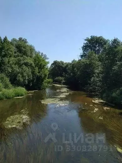 Участок в Московская область, Чехов муниципальный округ, д. Баранцево  ... - Фото 2