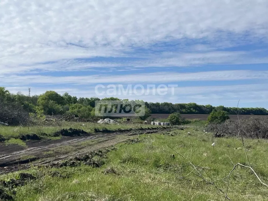 Участок в Курская область, Курский район, Нижнемедведицкий сельсовет, ... - Фото 1