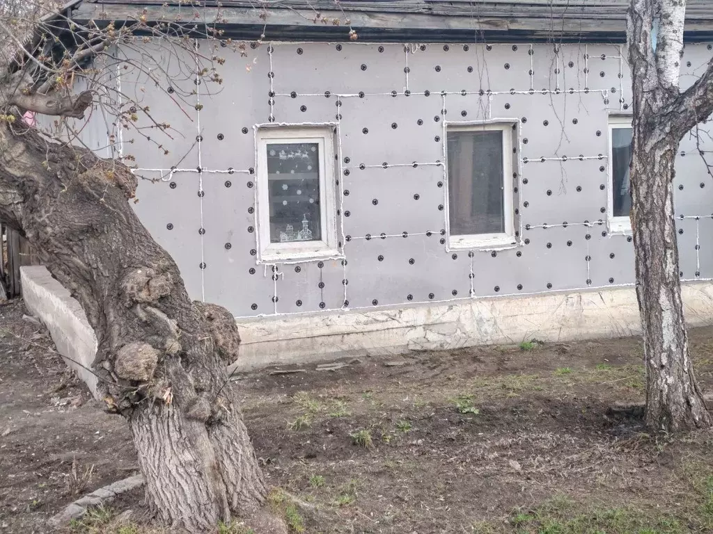 Дом в Омская область, Омск ул. 12 Декабря, 15 (59 м) - Фото 1