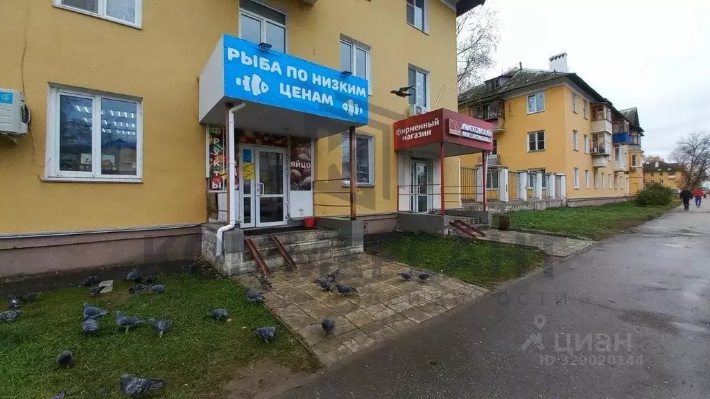 Торговая площадь в Нижегородская область, Нижний Новгород Молодежный ... - Фото 1