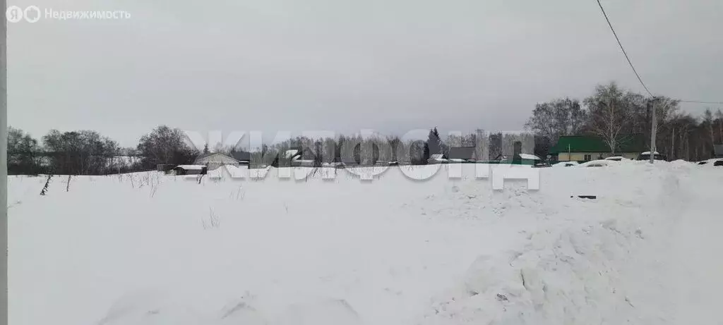 Участок в Новосибирский район, Верх-Тулинский сельсовет, посёлок ... - Фото 2