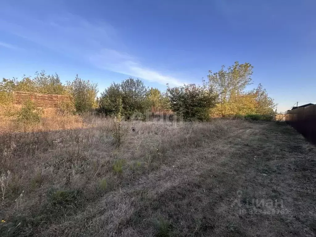 Участок в Воронежская область, Верхнехавский район, с. Парижская ... - Фото 1
