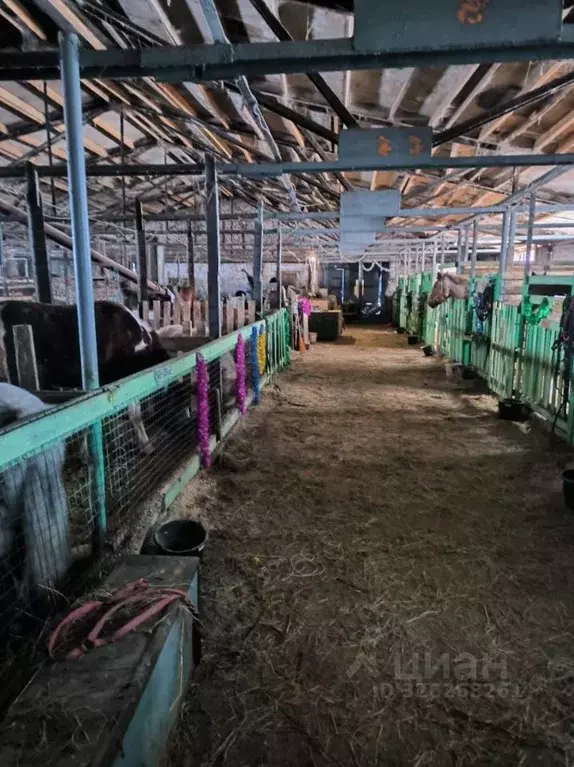 Помещение свободного назначения в Нижегородская область, Нижний ... - Фото 2