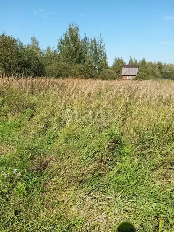 Участок в Московская область, Коломна городской округ, пос. . - Фото 0