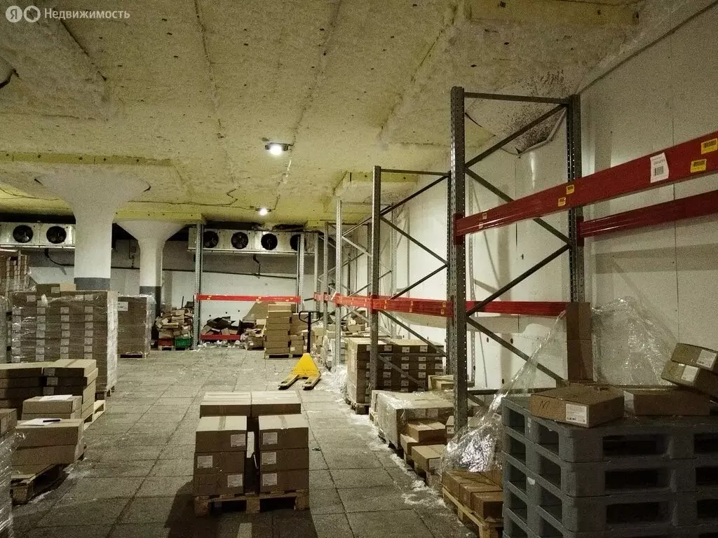 Склад (233.3 м) - Фото 2