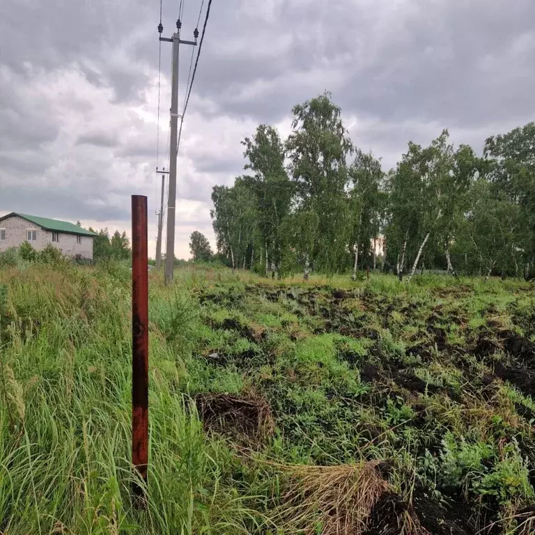 Участок в Челябинская область, Красноармейский муниципальный округ, д. ... - Фото 2