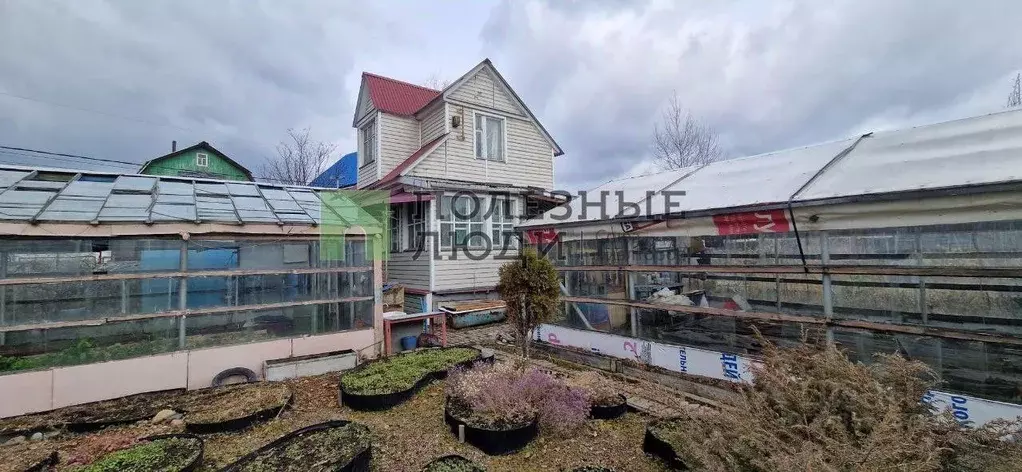 Дом в Иркутская область, Ангарск Аэлита СНТ,  (46 м) - Фото 1
