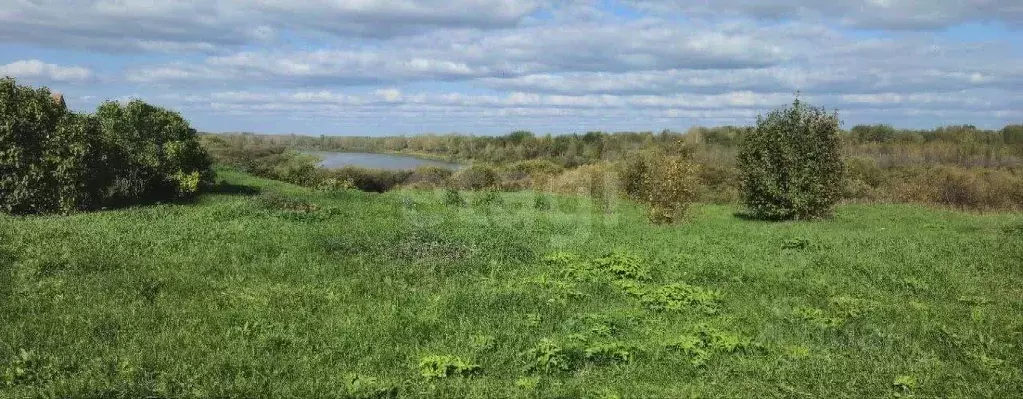 Участок в Свердловская область, Слободо-Туринский район, ... - Фото 2