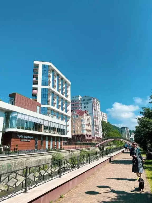 Студия Краснодарский край, Сочи ул. Полтавская, 54 (23.0 м) - Фото 1