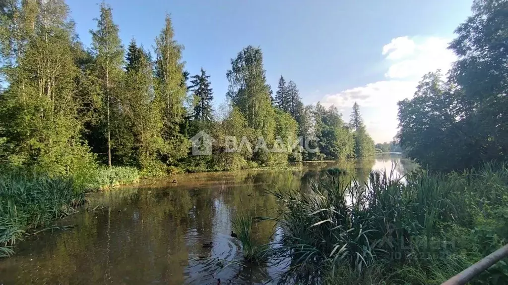 Дом в Ленинградская область, Всеволожск Школьная ул., 20 (106 м) - Фото 1