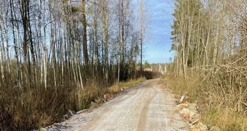 Участок в Новгородская область, Валдай Лесхозная ул. (10.0 сот.) - Фото 1
