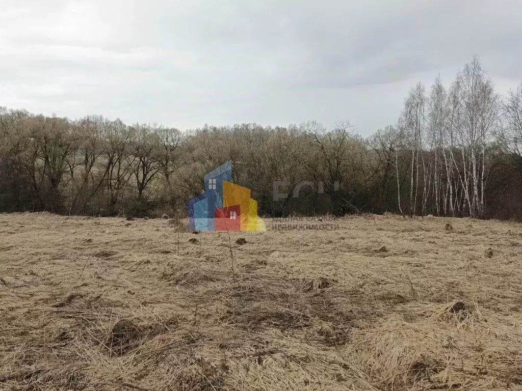 Участок в Тульская область, Тула городской округ, д. Горюшино, ... - Фото 2