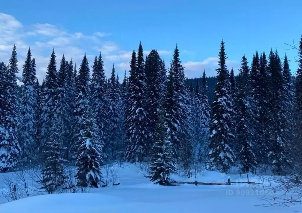 Участок в Кемеровская область, Таштагольский район, Шерегешское ... - Фото 0