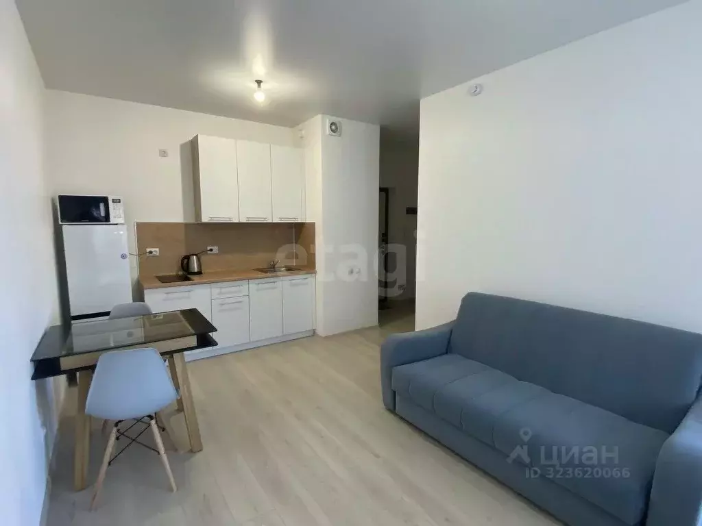 Студия Тюменская область, Тюменский муниципальный округ, с. Ембаево ... - Фото 2