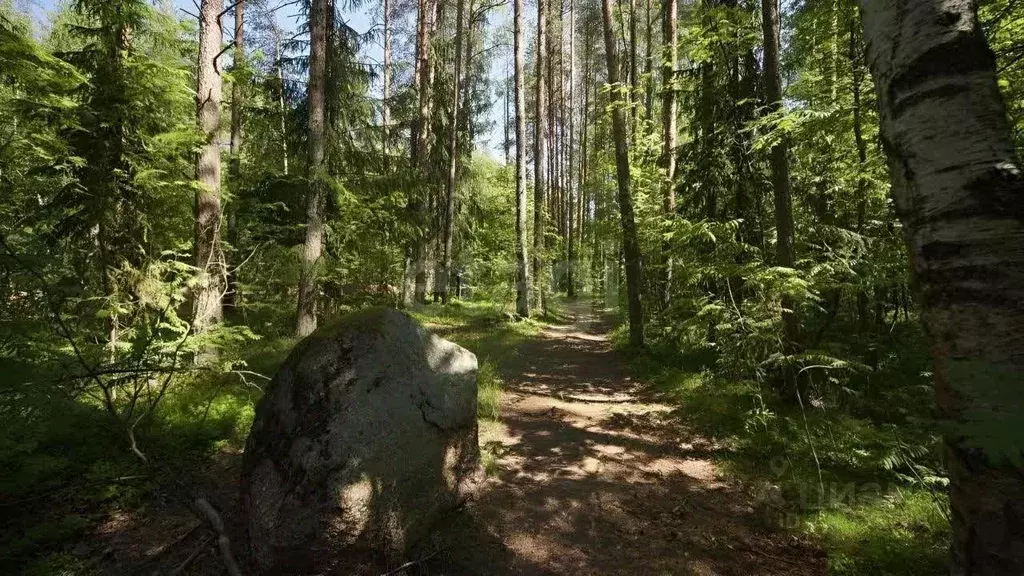 Участок в Санкт-Петербург пос. Левашово, Про Левашово кп,  (12.0 сот.) - Фото 0