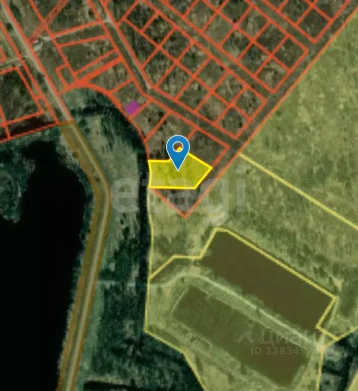 Участок в Нижегородская область, Городецкий муниципальный округ, д. ... - Фото 1