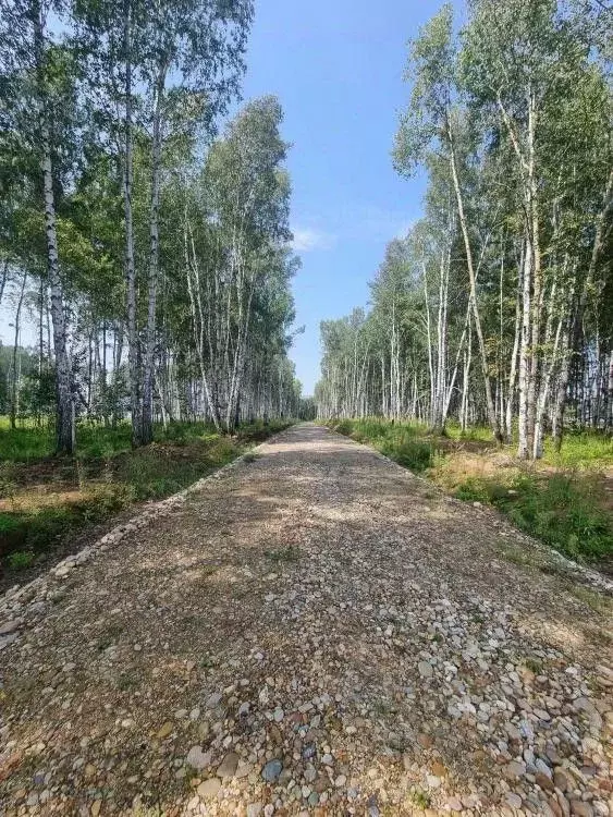 Участок в Иркутская область, Иркутский муниципальный округ, пос. Новая ... - Фото 1