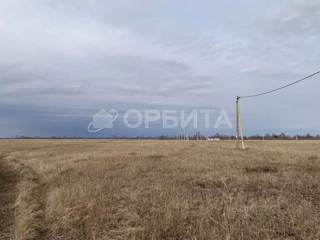Участок в Тюменская область, Тюменский район Тобольский тракт, 21-й ... - Фото 2