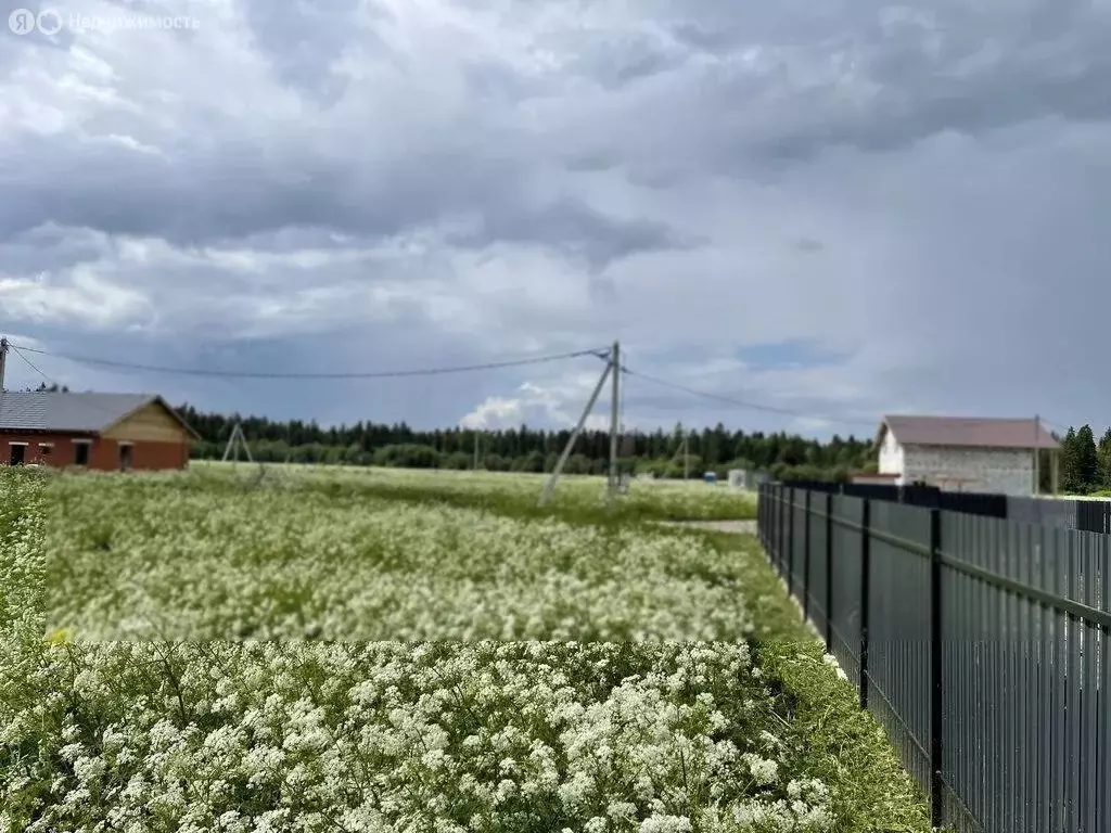 Участок в Ломоносовский район, Кипенское сельское поселение, деревня ... - Фото 2