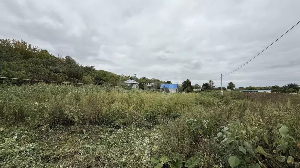 Участок в Воронежская область, с. Семилуки ул. Донская (15.0 сот.) - Фото 1