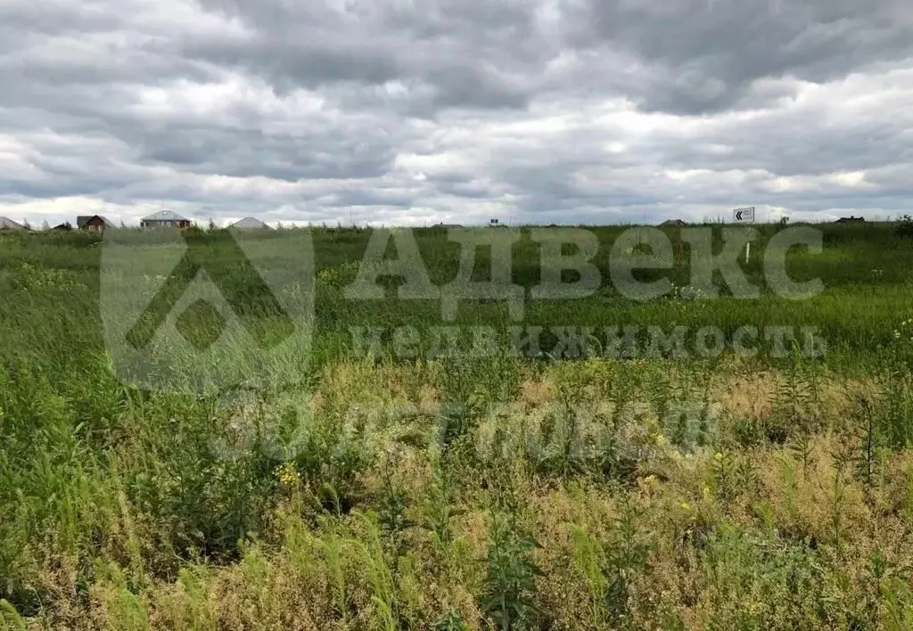 Участок в Тюменская область, Тюмень Царево садовое товарищество, ул. ... - Фото 1