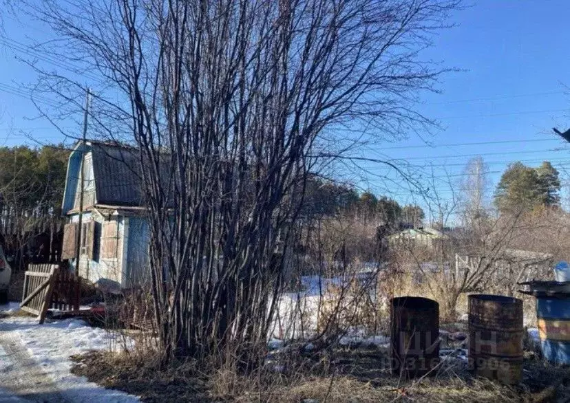Дом в Свердловская область, Екатеринбург Химик СНТ,  (40 м) - Фото 1