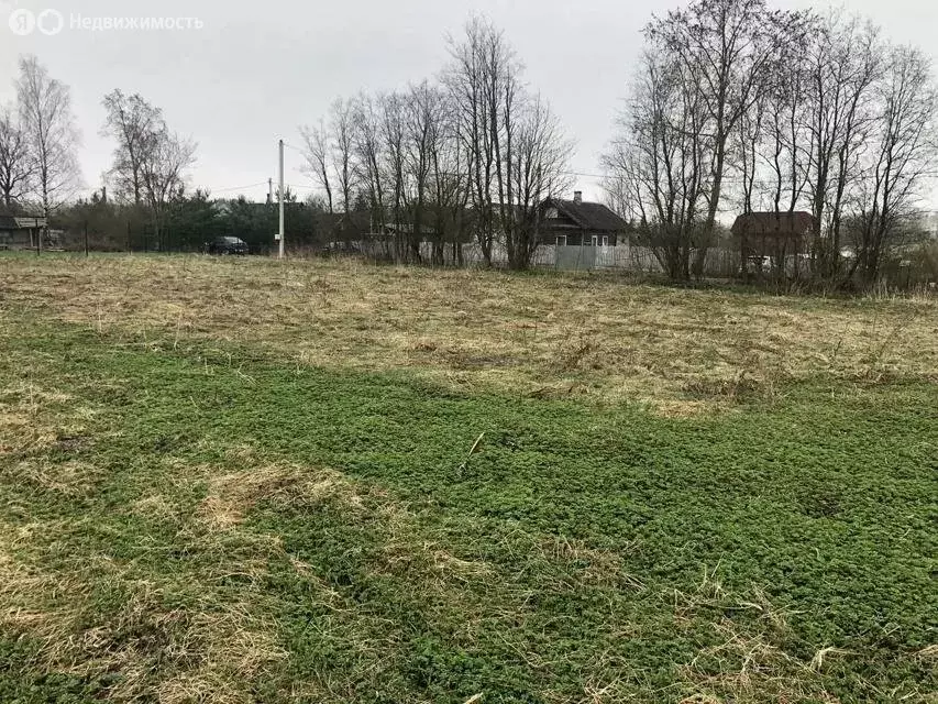 Участок в Волосовский район, Бегуницкое сельское поселение, деревня ... - Фото 1